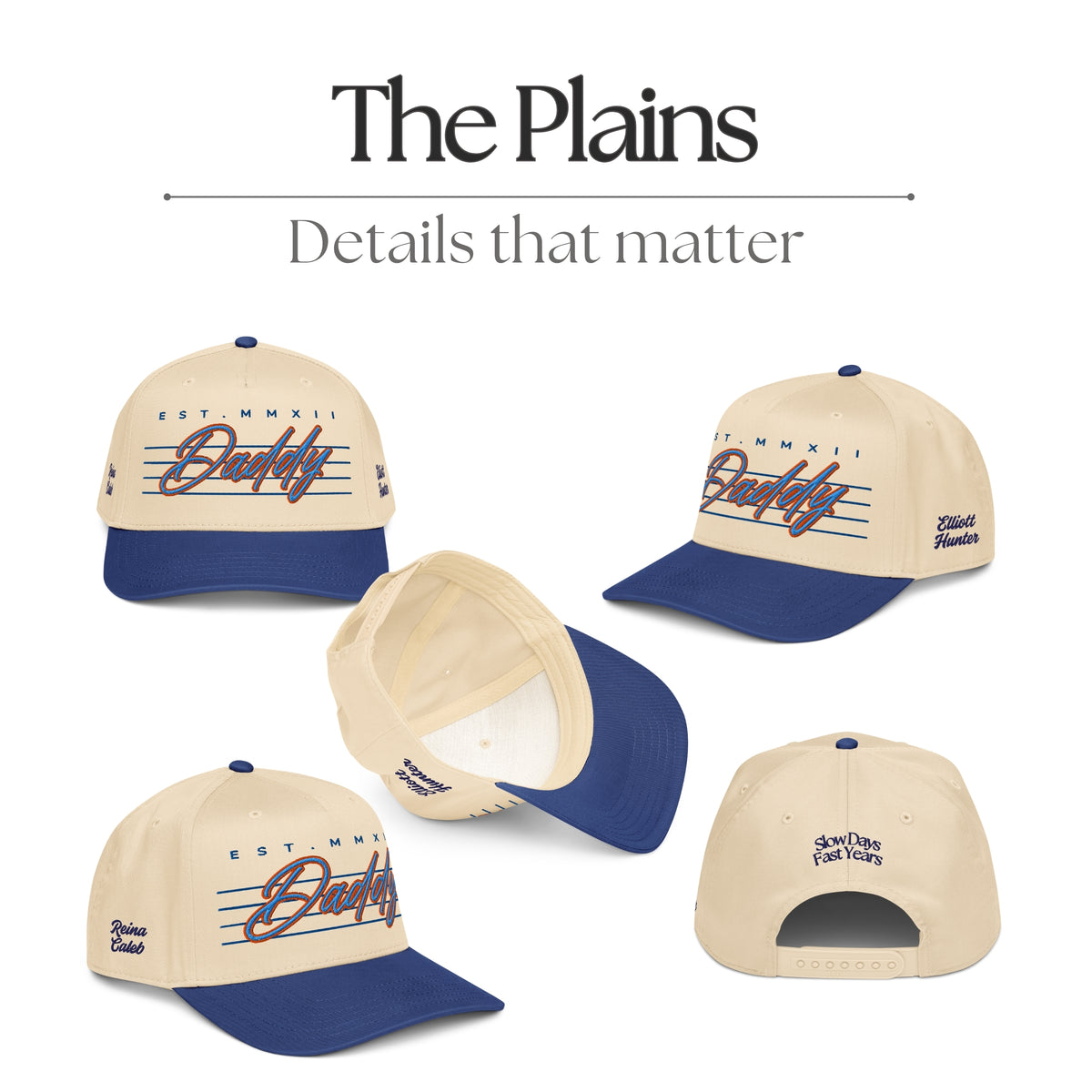 The Plains