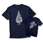 The Evergreen Set